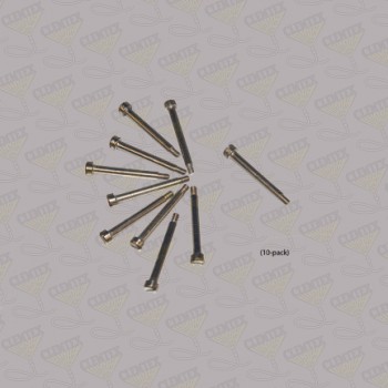 Lever Hinge Screw (10pk) 