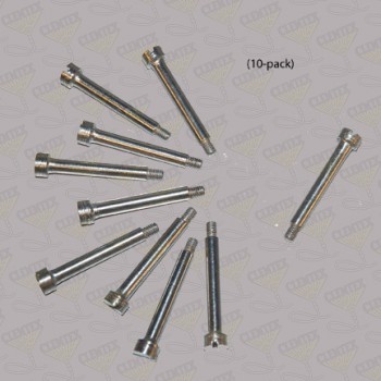 Flap Hinge Screw (10pk) 