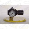 2-outlet manifold assembly (includes manifold with regulator, relief valve and gauge) for 41p2 and 41P2E