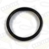 * O-Ring 1-3/4" OD (1)