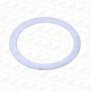 Gasket, btm cap, 1-1/2" inlet valve