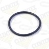 O-Ring 2-1/4" OD (1)