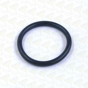 Abrasive trap o-ring          