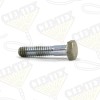 Screw, 1/4-NC x 1" cap