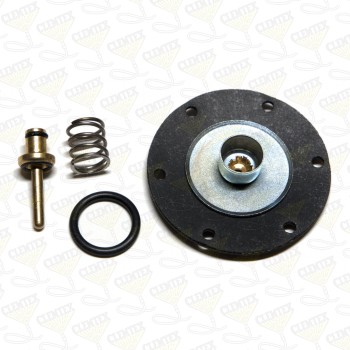 Diaphragm repair kit