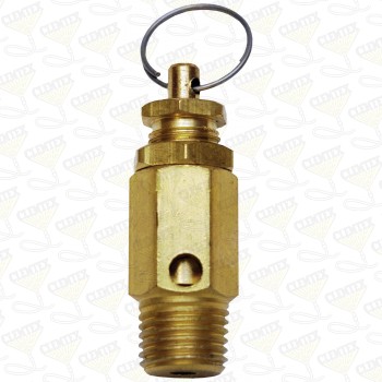 Pressure Relief Valve